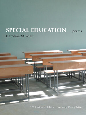cover image of Special Education